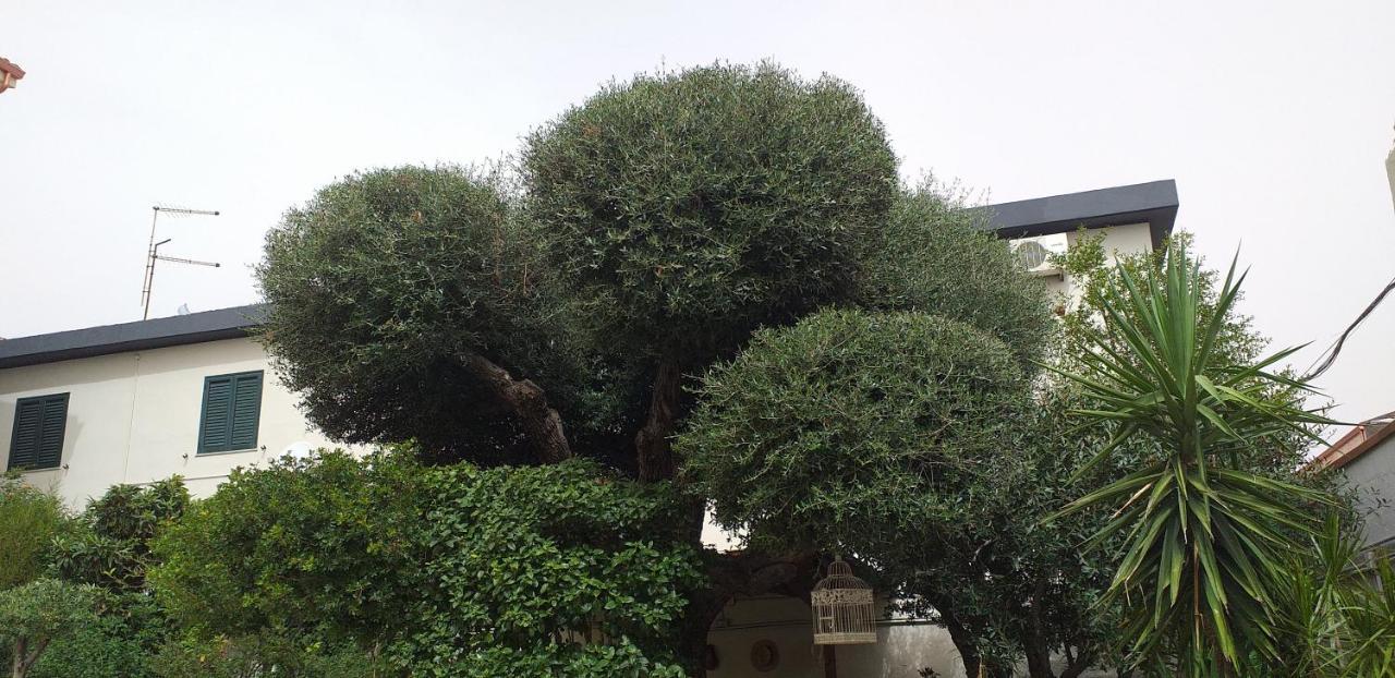 Il Vecchio Ginepro Bed & Breakfast Capoterra Ngoại thất bức ảnh